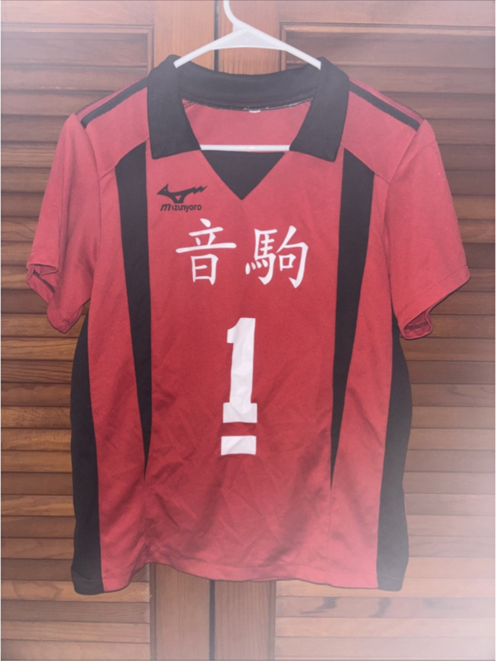 Mizunyoro Red Japanese Anime Jersey #1 Youth Large